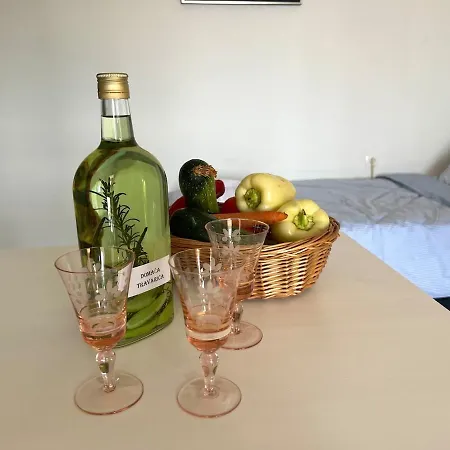 Appartement Debussy Ičići